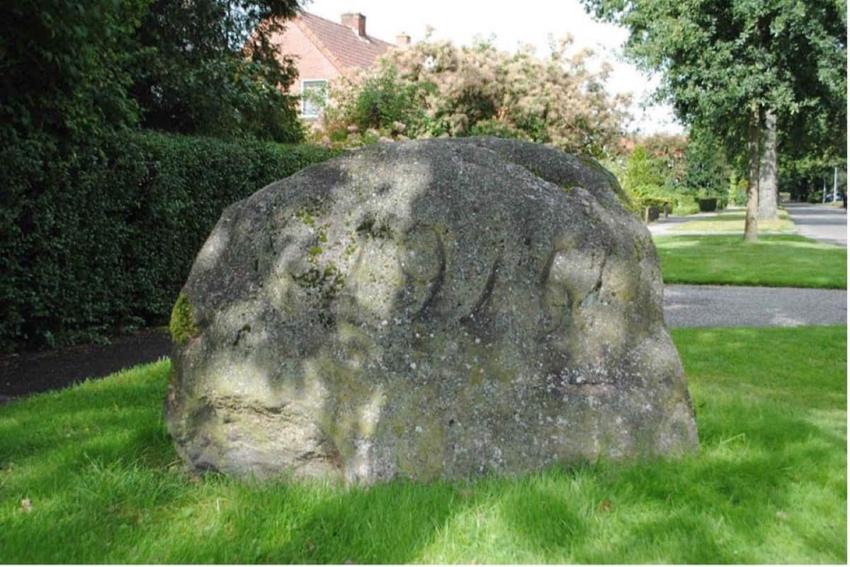 Fotosessie Tuindorp